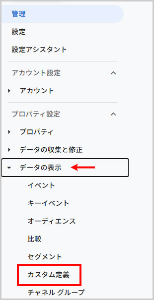 データの表示 > カスタム定義