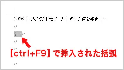 Word|【Ctrl + F9】で挿入された括弧