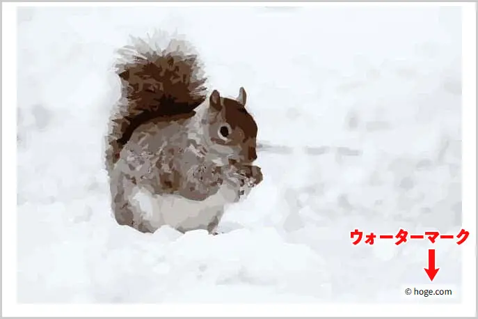 ウォーターマーク反映例