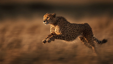 AI 画像拡張（Image Extender）機能