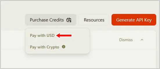Venice AI|API Settings